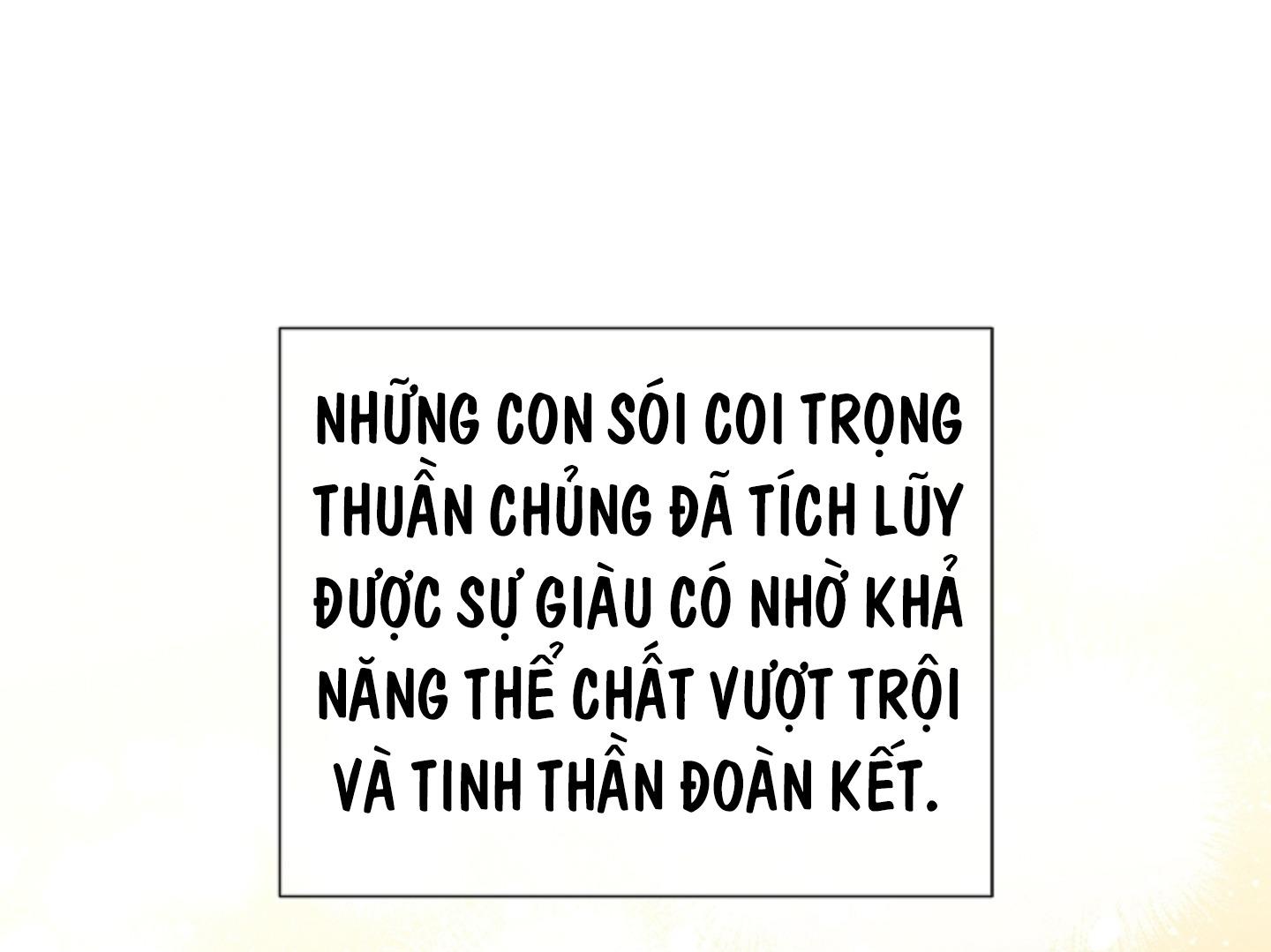 ĐỪNG ĐỤNG VÀO BÉ CÚN Chapter 2 - Next Chapter 3